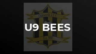 U9 Bees