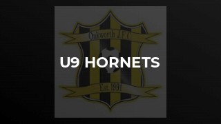 U9 Hornets