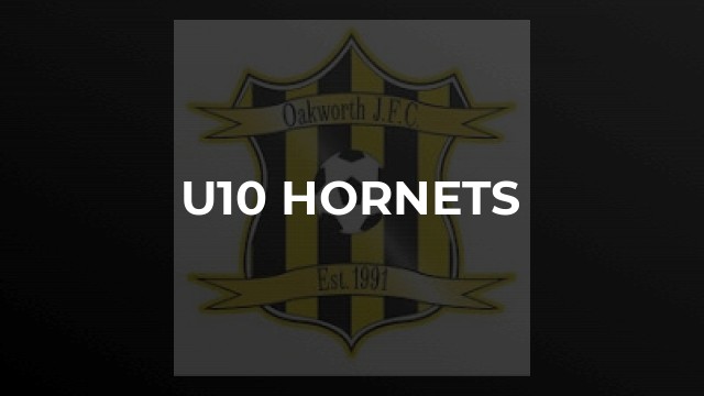 U10 Hornets