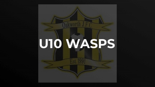 U10 Wasps