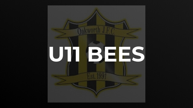 U11 Bees