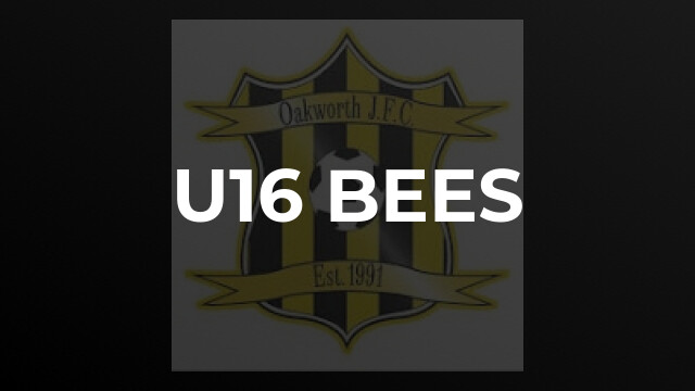 U16 Bees