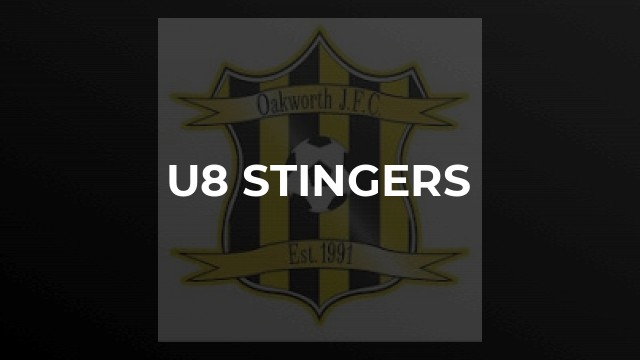 U8 Stingers