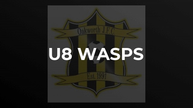 U8 Wasps