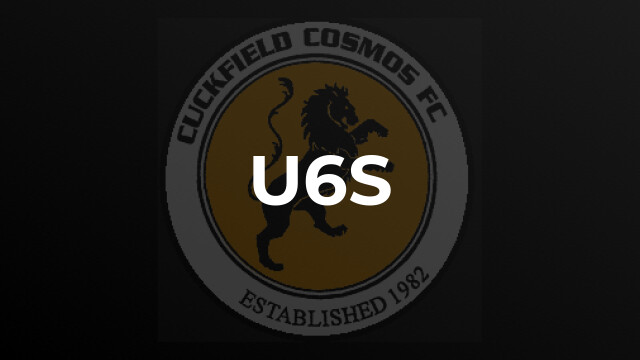 U6s