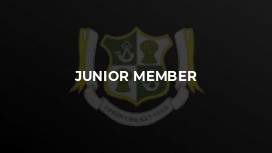 Junior Member