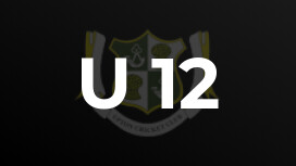 U 12