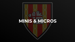Minis & Micros