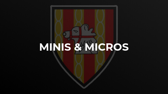 Minis & Micros