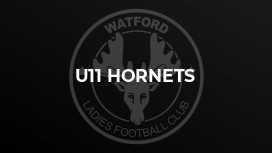 U11 Hornets