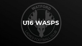 U16 Wasps