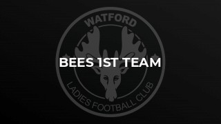 Bees 1st Team