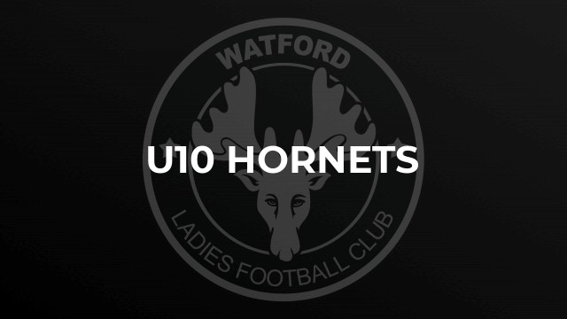 U10 Hornets