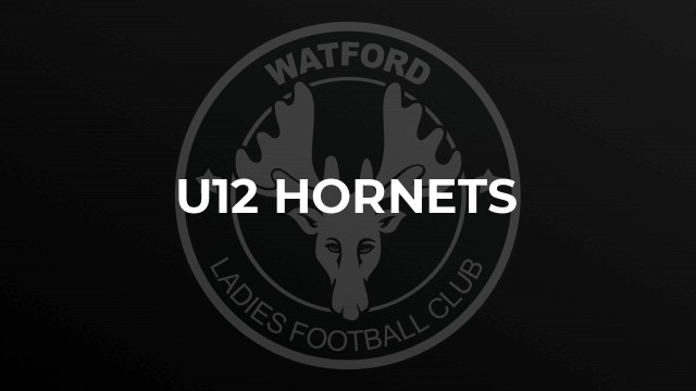 U12 Hornets