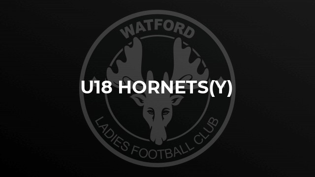 U18 Hornets(Y)