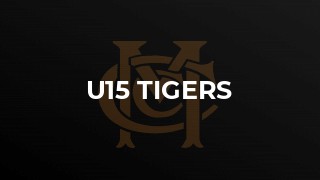U15 Tigers