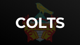 Colts