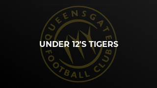 Under 12's Tigers