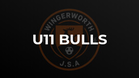 U11 Bulls