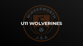 U11 Wolverines