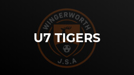 U7 Tigers