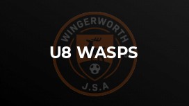 U8 Wasps