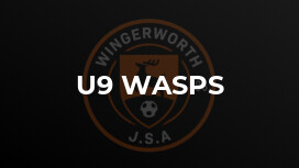 U9 Wasps