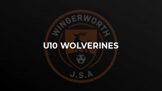 U10 Wolverines