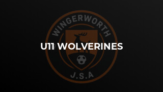 U11 Wolverines
