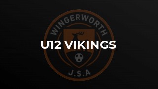 U12 Vikings