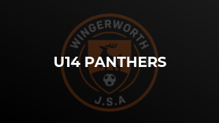 U14 Panthers