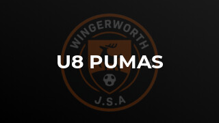 U8 Pumas