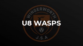 U8 Wasps