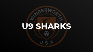 U9 Sharks