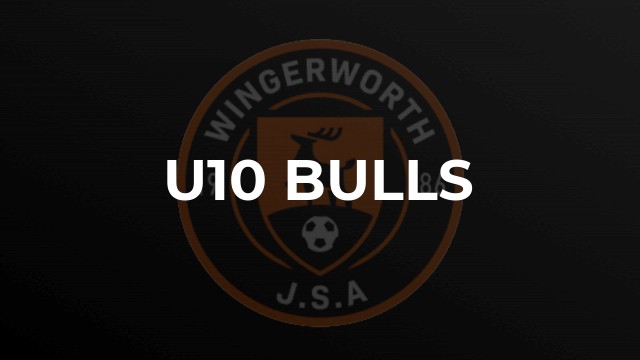 U10 Bulls