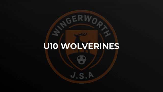 U10 Wolverines