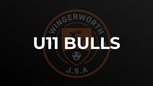 U11 Bulls
