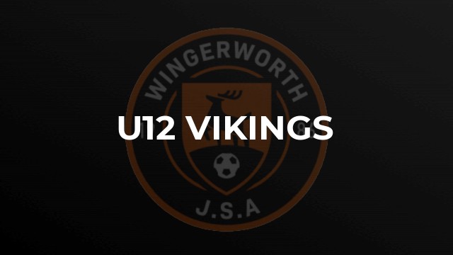 U12 Vikings