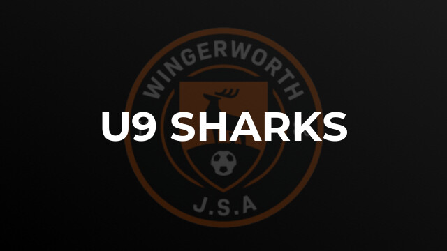 U9 Sharks