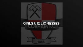 Girls u12 Lionesses