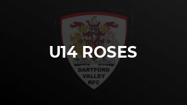 U14 Roses