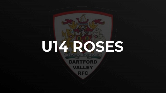 U14 Roses