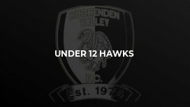 Under 12 Hawks