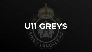 U11 Greys