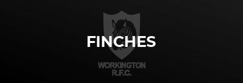 Finches Battle Through To Clinch Semi Final Place