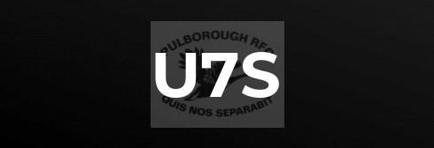 Saturday 18th February – Pulborough U7’s Etihad Sem- finals