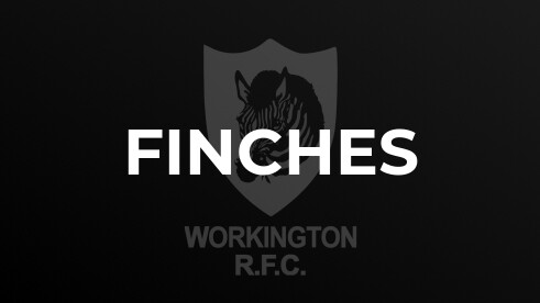 SIX OF THE BEST FINCHES REGAIN WINNING WAYS 