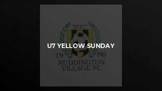 U7 Yellow Sunday