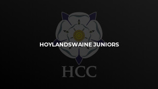 Hoylandswaine Juniors