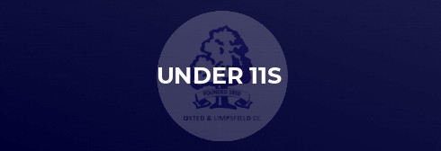 U10s too much for Tadworth - winning by 119 runs